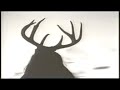 music video for 