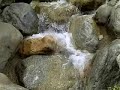 Streetbox.us Karate! cykc.org Peaceful Waterfalls