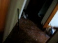 house pics 141