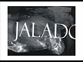 jalado