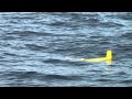 Prince William Sound Field Experiment: Slocum and Remus