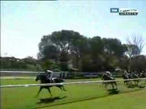 20060917: 2ª carrera (Azov) by Fylo