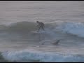 jersey surf  film