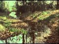 Midlake Rulers Ruling All Things Official Music Video and Lyrics
