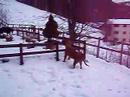 Veuve e Ares sulla neve