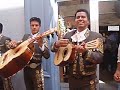 Mariachi Real Cocula y Marrrionnettes gigantas Mariachi Real Cocula y Marrrionnettes gigantas