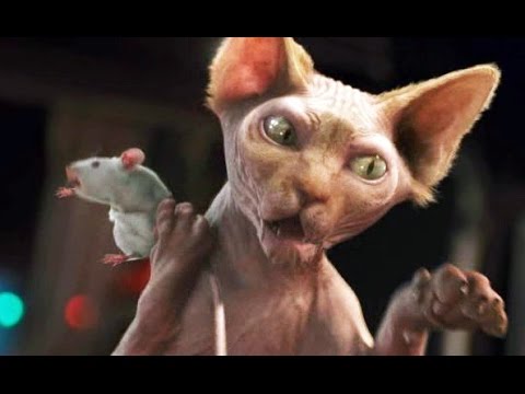 Como Perros y Gatos 2: La Revancha de Kitty Galore (Trailer español)