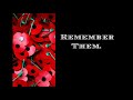 a remembrance day tribute to those who fought and died for their country.