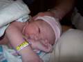 Sophie Birth Nov 2008
