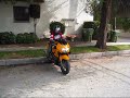 CBR 600F4