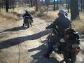 Steve M.M.M.C. Lassos a BMW to ESCAPE the BIG BEAR BURN OUT
