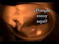 en manos del alfarero