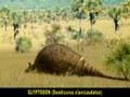 Prehistoric Daireaux