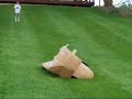 Kids Boxing in front yard - graphic