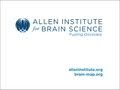Allen Institute for Brain Science