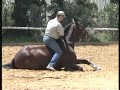 Ground Riding 4