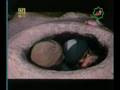 Islamic Movie --- Imam Ali (a.s.) Part 098