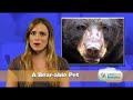 Funny Pet News #7 Winner Wiener, Monkey Mullet, Horse Testis