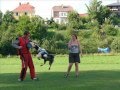 Moonyho obrany na LVT ve Dvoře Králové 2008