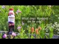 Ionic Liquid Mineral Supplement - The Worlds Leading Trace Mineral Supplement