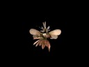 Spore Creature Creator Video