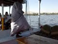 Egypt - Luxor (Nile cruise)