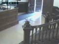 Deer trapped in buidling