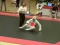 round house kick to face round house kick to face