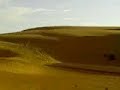 MEDANOS DE CORO VENEZUELA