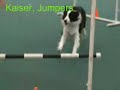 PUPS Presentation Video