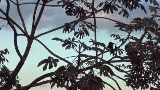 (2ª Temp. / EP. 35): Lagoa da Prata /MG / BRASIL (Parte 2/4: Rio São Francisco)