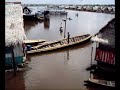 Fluvial Life in Motion