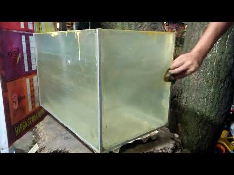 Aquascape Sunset Decor D Aquarium Par Laurent Garcia