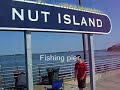 Boston Harbor's Nut Island blooms in summer