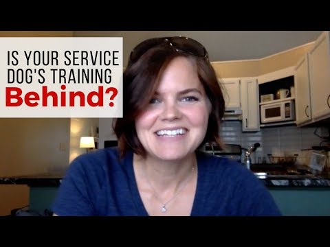 video-linktoworks-Training your own service dog - is your dog behind?
