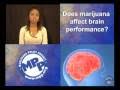 Marijuana Two-Minute Truths: Marijuana and the Brain (MPP-TV)