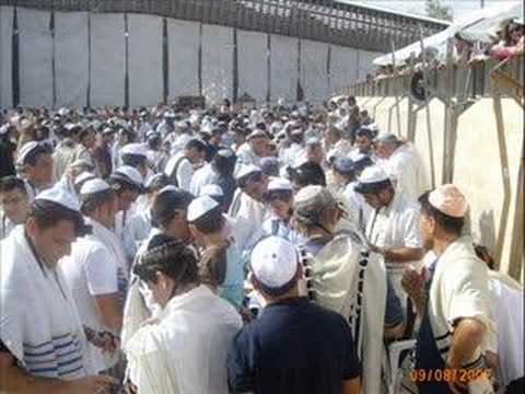 Tripoli uso simbolico  delle ...