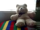 IM NOT GONNA PANIC...panic -da bearry style
