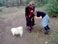 videos de HPIM1045