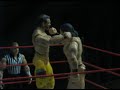 The Real WWE! The Real WWE!