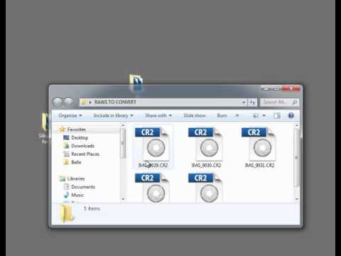 Converting Raw files to DNG format