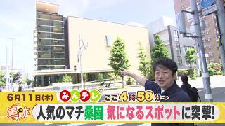 みんテレ