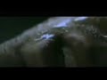 Chasing Cars - Snow Patrol (Sub Español) Chasing Cars - Snow Patrol (Sub Español)