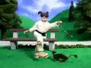 Weasel Stomping Day
