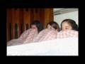 videos de MeDicenwale