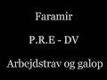 Faramir pre-dv horse