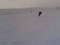 SCI,360 gradi IN MOVIMENTO. LUPO