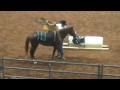 Extreme Mustang Makeover Boots Burro and Gary Stanfill