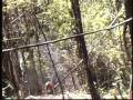 videos de Minas Terrestres: Desafío de Salud en América Central