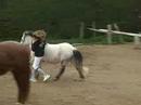 Kh�ops et Fiona